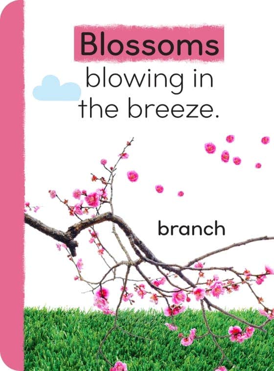 My First Seasons Library 4-Book Boxed Set