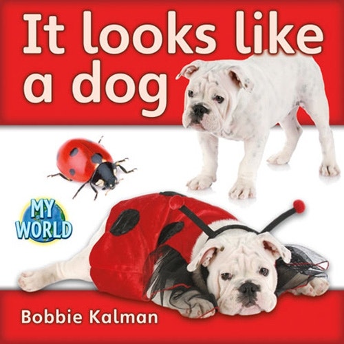 It Looks Like a Dog Reader Level A