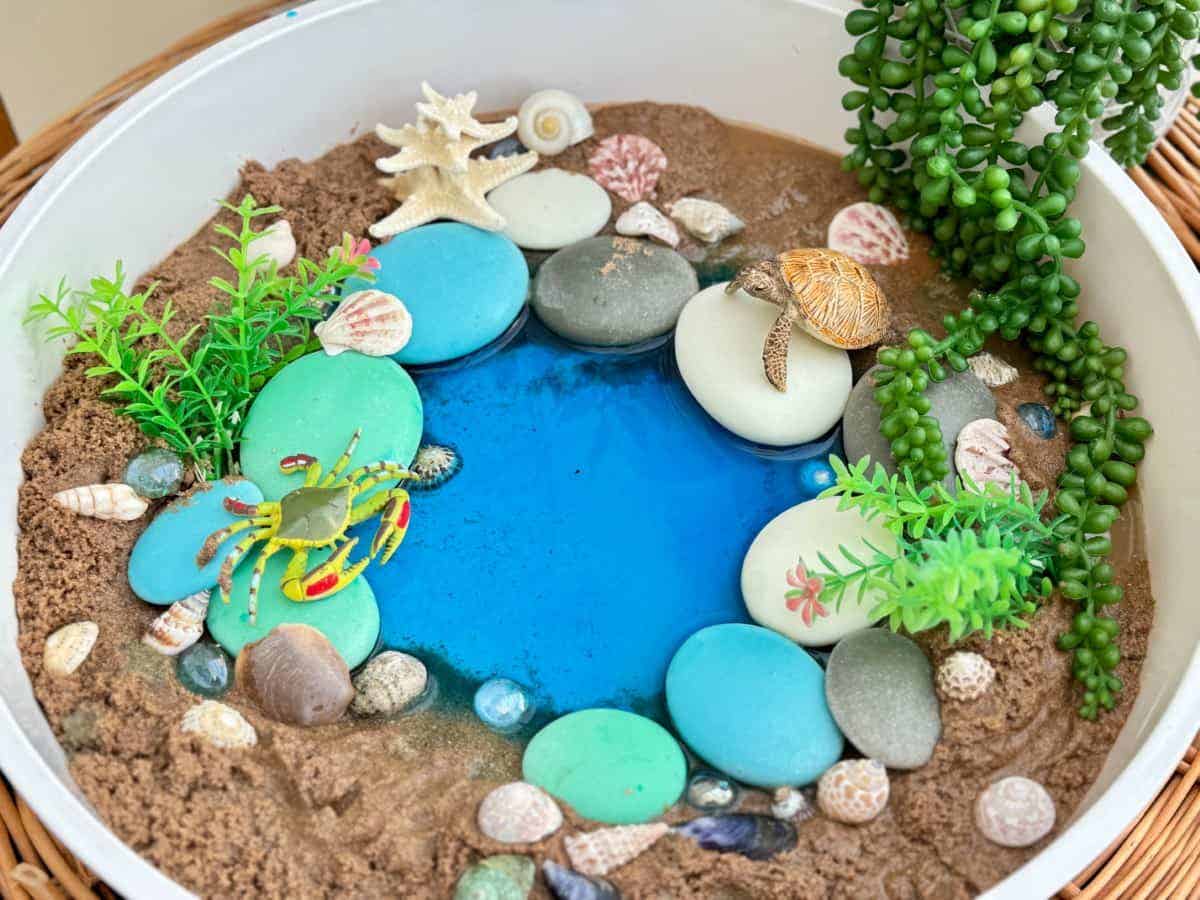 Natural Sorting Stones Nature Collection