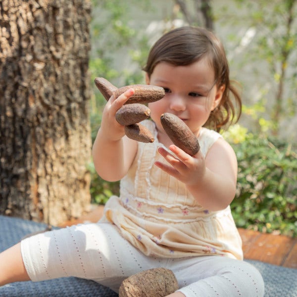 Nature's Geometry Toddler Loose Parts STEM Kit