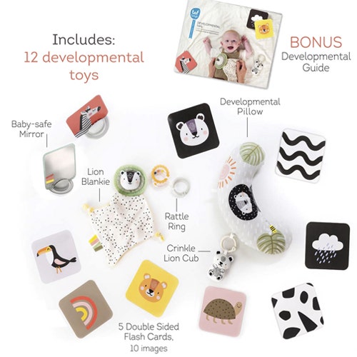 Newborn Develop & Play Kit