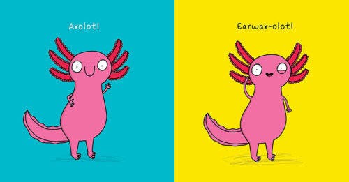 No One Really Knows an Axolotl