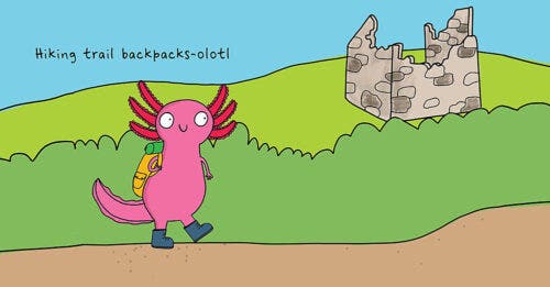 No One Really Knows an Axolotl