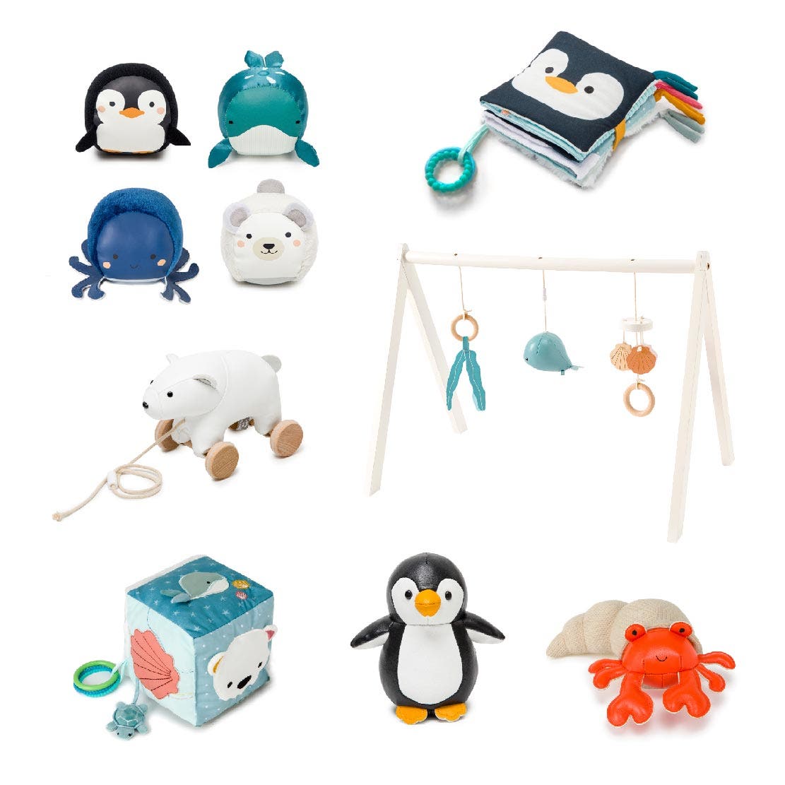 Ocean Discovery Collection