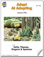 Adept at Adapting Lesson Plan Ebook