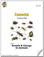 Insects Lesson Plan Ebook