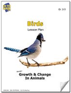 Birds Lesson Plan Ebook