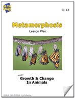 Metamorphosis Lesson Plan Ebook