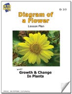 Diagram of a Flower Lesson Plan Ebook