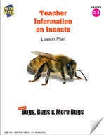 Teacher Information on Insects Lesson Plan Ebook