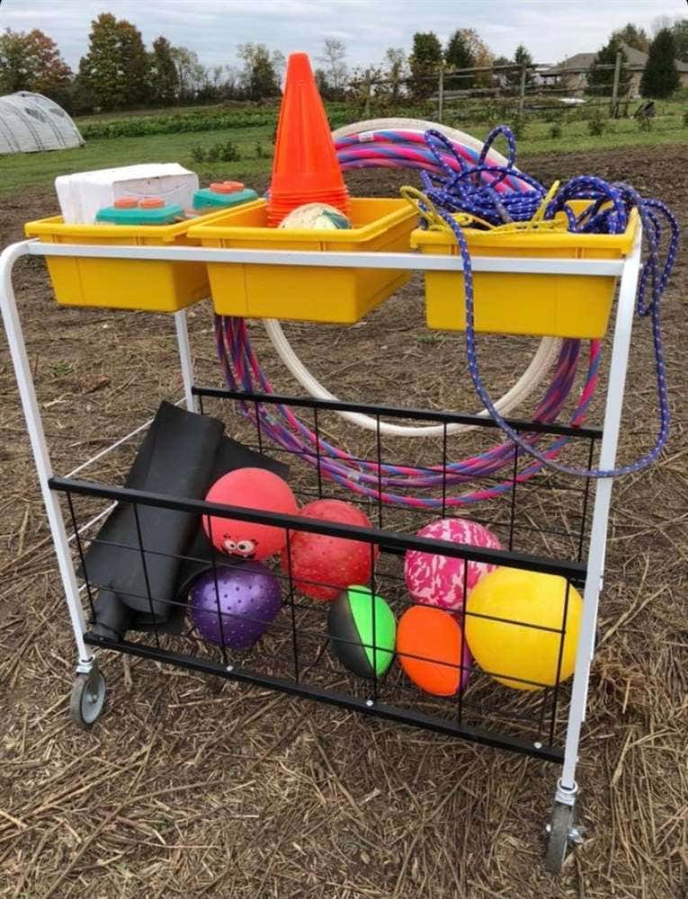 Phys Ed Cart