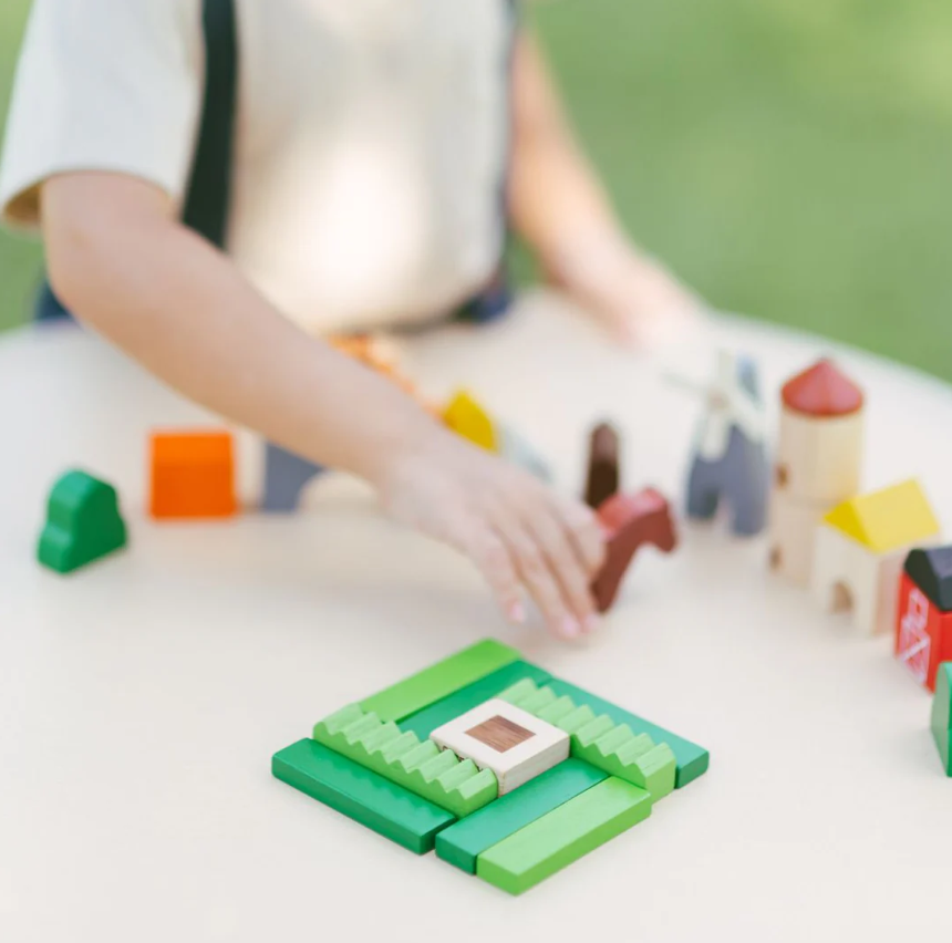 Plan Toys Country Blocks