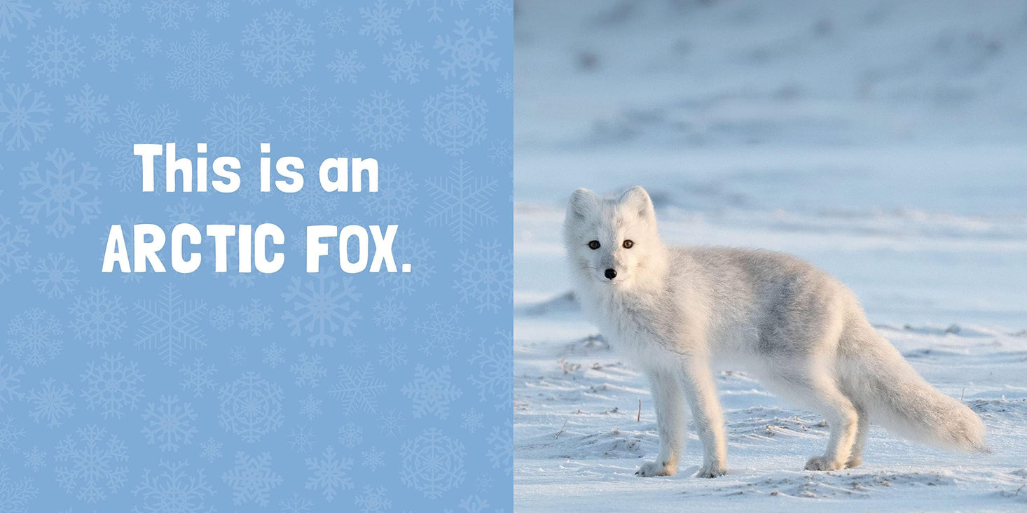 Polar Pals