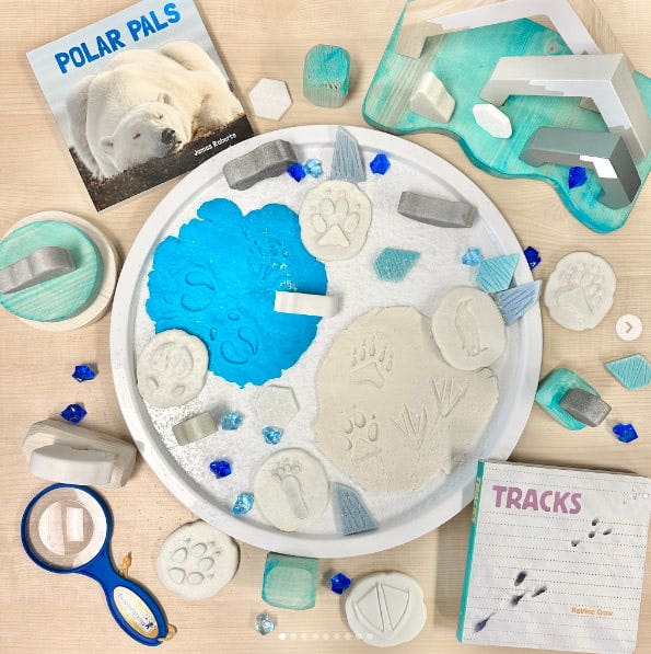 Polar Playdough Tracks Investigation Collection