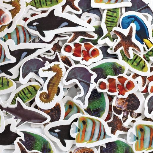 Real Photo Sea Life Foam Stickers 250 pc