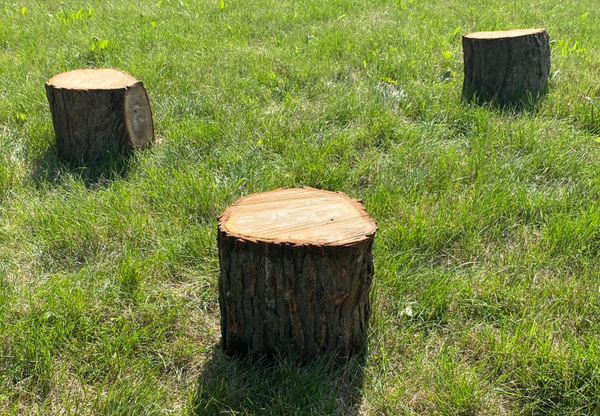 Stump Stool 10 inch by Naturally Inspired Play