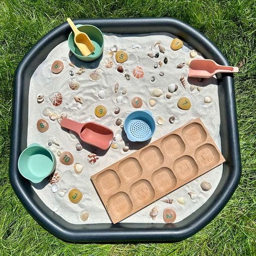 Sea Shell Counting Collection