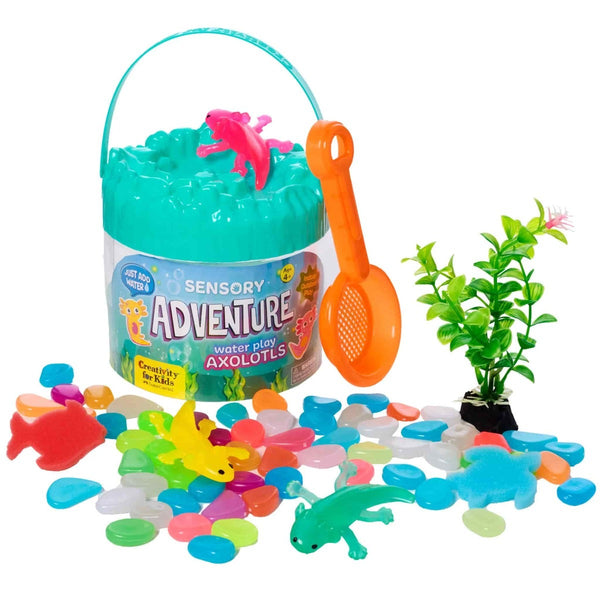 BLOG - Sensory Adventure