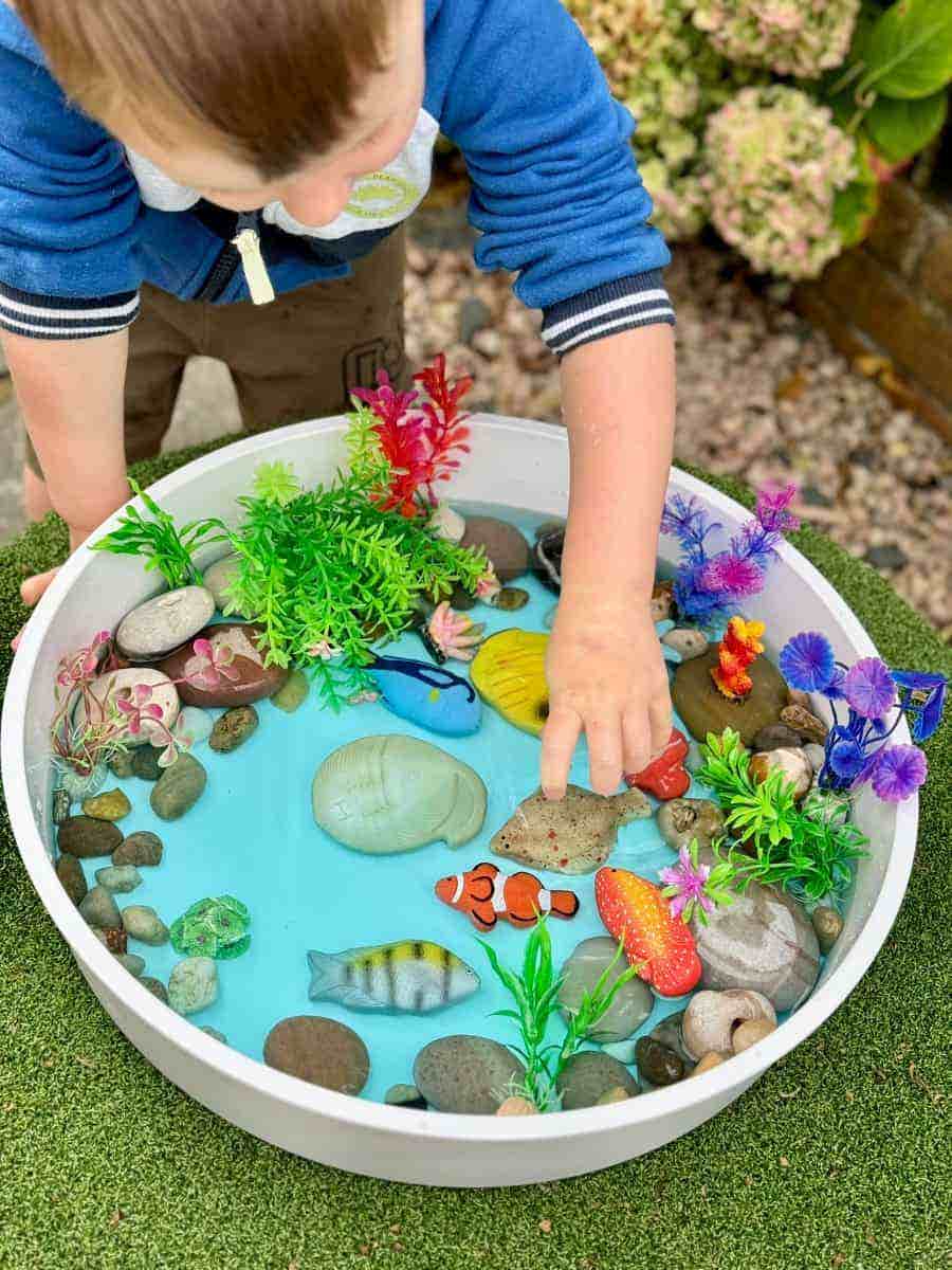 Sensory Play Stones Fish