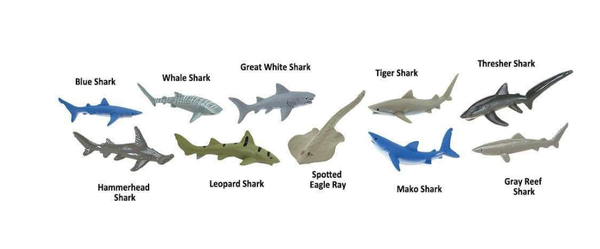 Sharks Toob