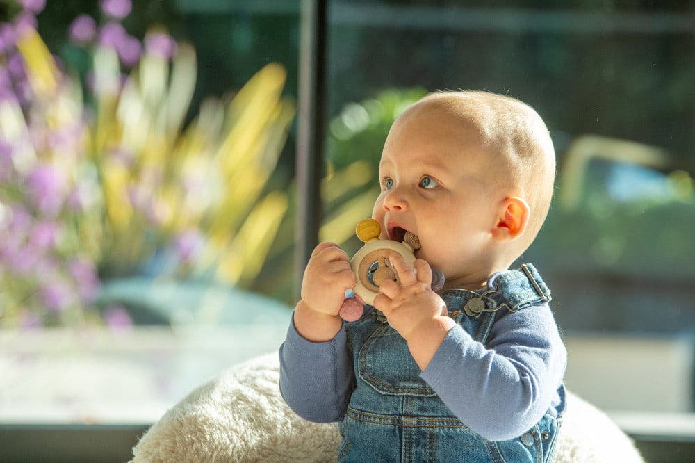 Silisoft Rattle Teether Earth