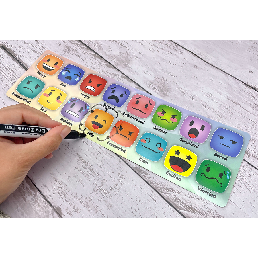 Social-Emotional Mood Meters