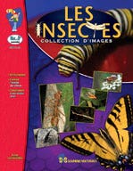Les Insectes Collection Ebook