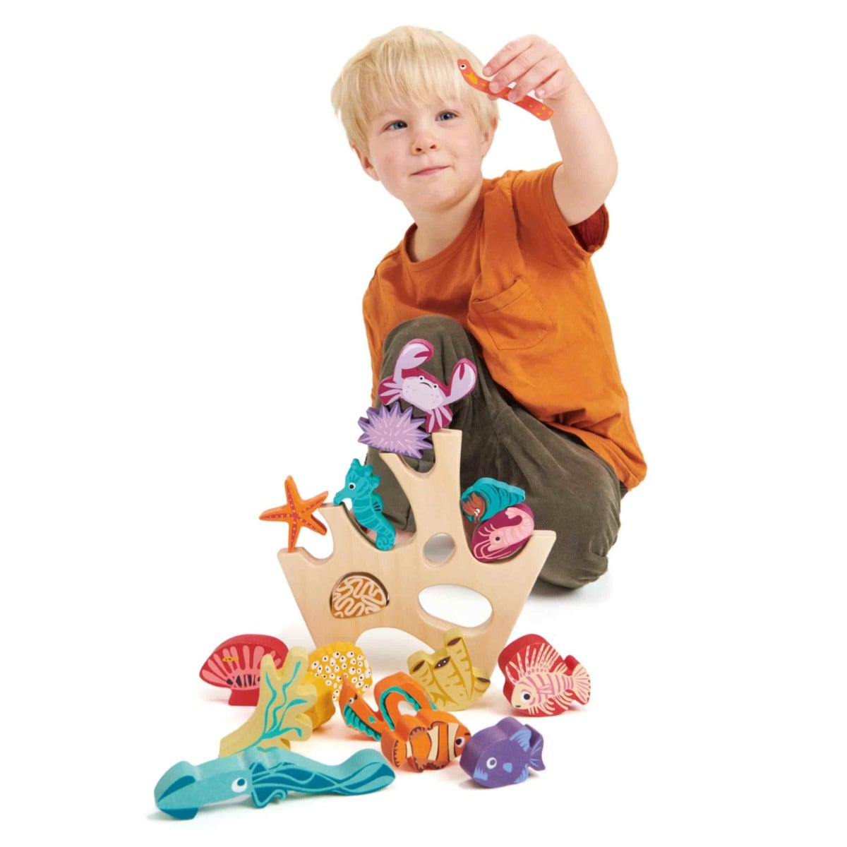 Stacking Coral Reef