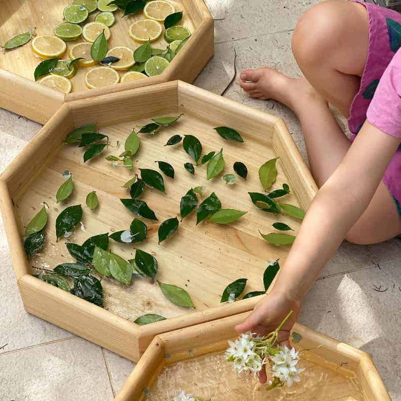 Timber Tuff Trays Set of 3 Sizes