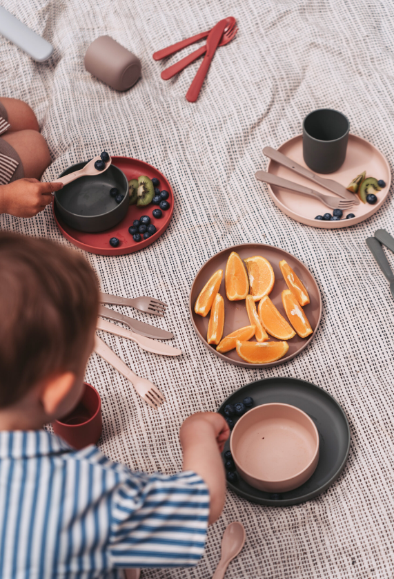 Tiny Biobased Breakfast and Lunch Set