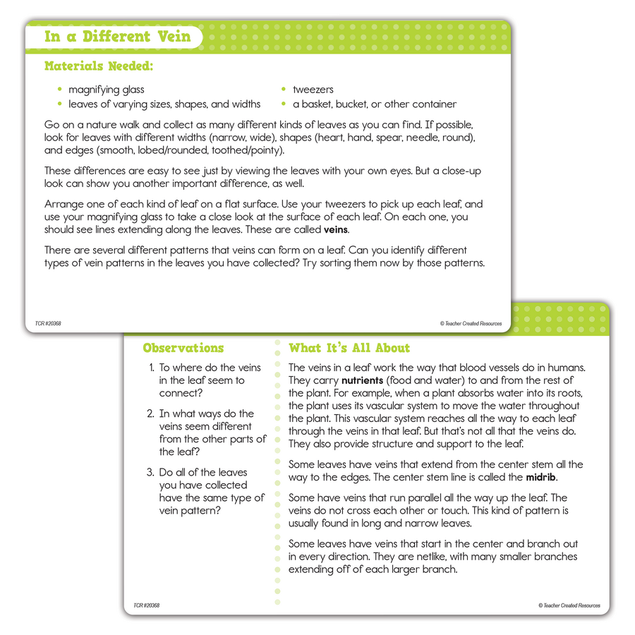 Up-Close Science Magnifying Glasses and Tweezers Activity Se