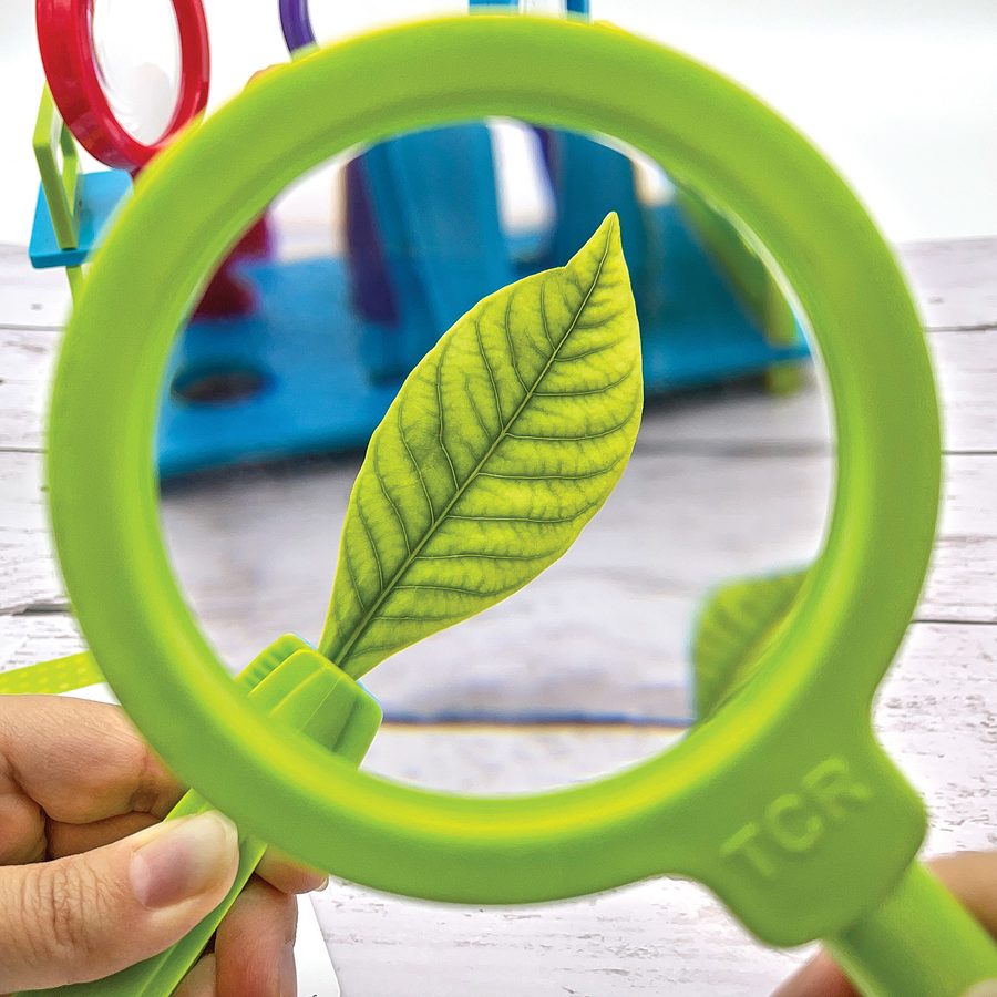 Up-Close Science Magnifying Glasses and Tweezers Activity Se