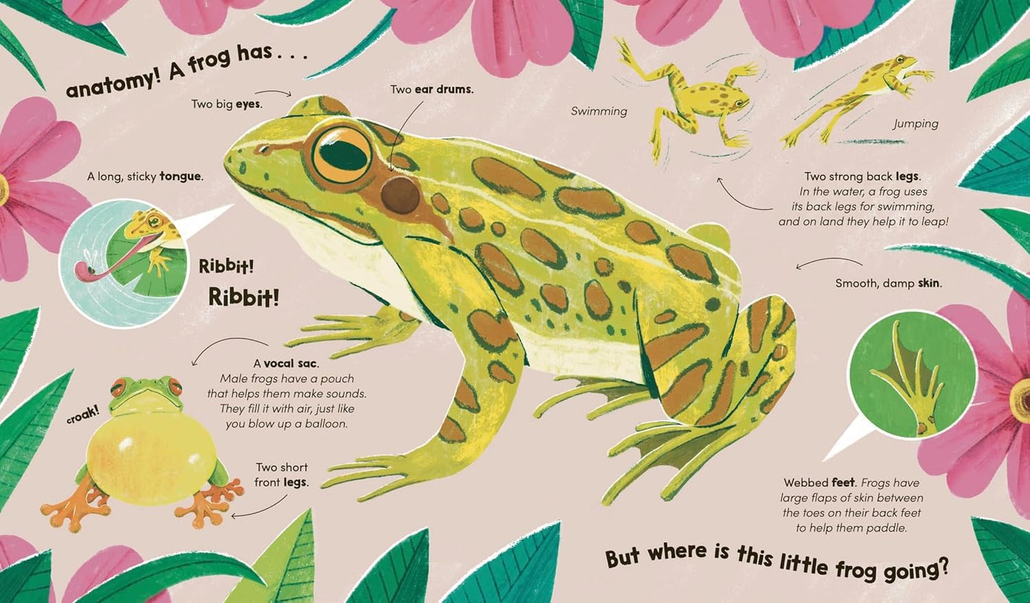 Watch Me Grow: Frogs