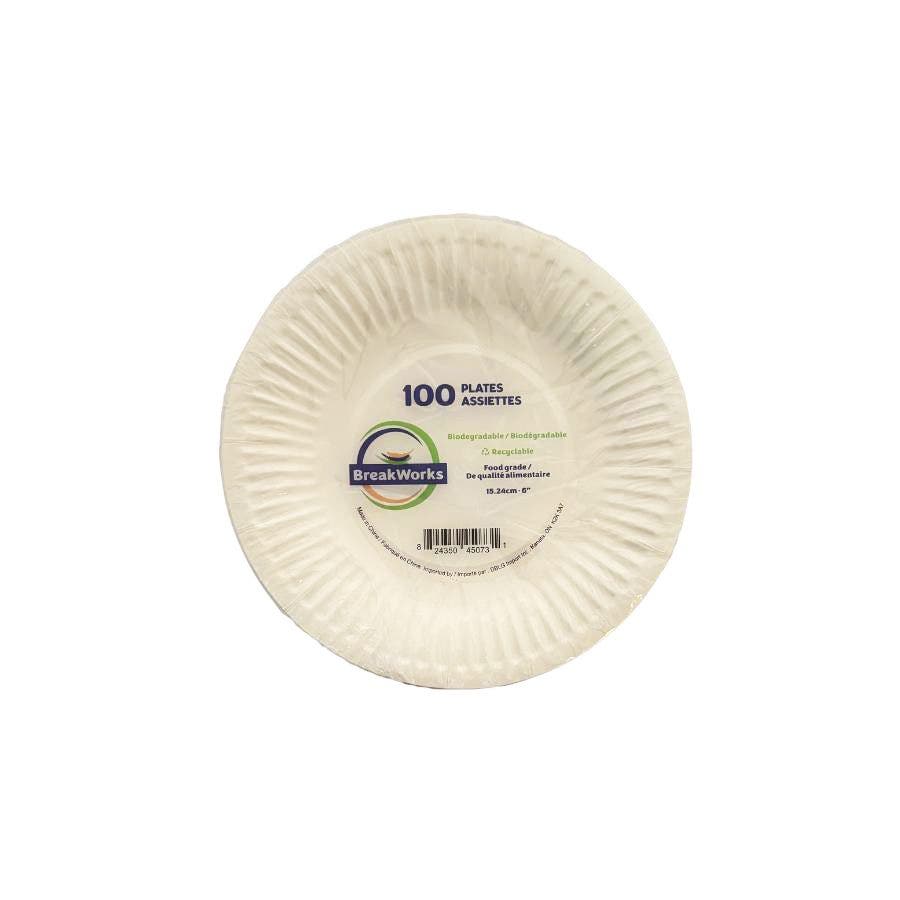 White Paper Plates