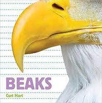 Whose is it Beak