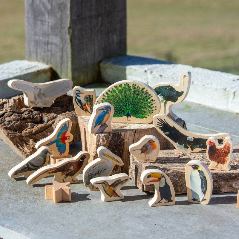 Wooden Bird Blocks