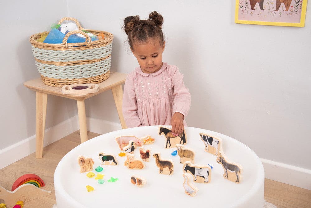 Wooden Domestic Animal Blocks