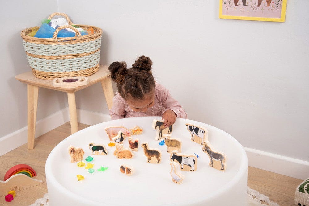 Wooden Domestic Animal Blocks